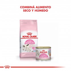 Royal Canin FHN Mother&Babycat  (6 x 195g) x caja