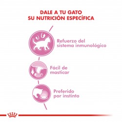 Royal Canin Alimento Húmedo para Gato Kitten  Pouch 85gr x 12u