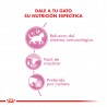 Royal Canin Alimento Húmedo para Gato Kitten  Pouch 85gr x 12u