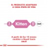 Royal Canin Alimento Húmedo para Gato Kitten  Pouch 85gr x 12u