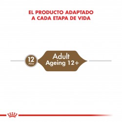 Royal Canin Alimento Húmedo para Gato Ageing 12+  Pouch 85gr x 12u