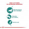 Royal Canin INSTINCTIVE (12x85g) X CAJA