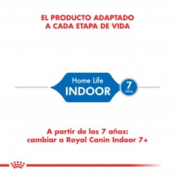 Indoor 27