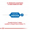 Indoor 27