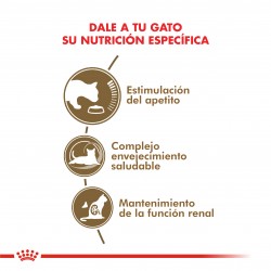 Royal Canin Senior Ageing 12+ Gatos 2kg