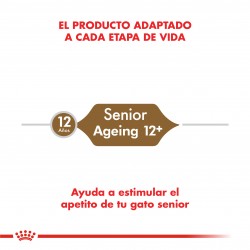 Royal Canin Senior Ageing 12+ Gatos 2kg