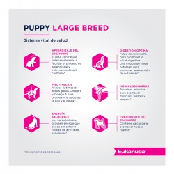 Eukanuba Puppy Large Breed 15 + 3 Kg