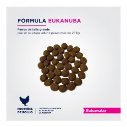 Eukanuba Puppy Large Breed 15 + 3 Kg