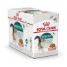 Royal Canin INSTINCTIVE (12x85g) X CAJA