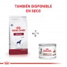 Royal Canin Recovery 6 Latas 165 Grs. Cada Una