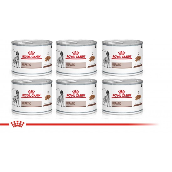 Royal Canin Recovery 6 Latas 165 Grs. Cada Una