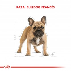 Royal Canin Bulldog Francés Adulto 3 kg