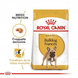 Royal Canin Bulldog Francés Adulto 3 kg