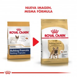 Royal Canin Bulldog Francés Adulto 3 kg