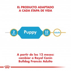 Royal Canin Bulldog Francés Junior 1 kg