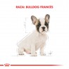 Royal Canin Bulldog Francés Junior 1 kg