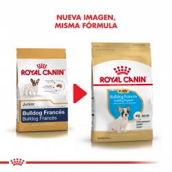 Royal Canin Bulldog Francés Junior 1 kg