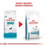 Royal Canin Hypoallergenic Small Dog x 2 kg