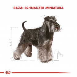 Royal Canin Alimento Seco para Perro Schnauzer Miniature Adult  3 kg