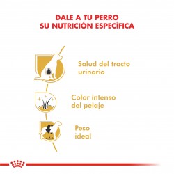 Royal Canin Alimento Seco para Perro Schnauzer Miniature Adult  3 kg