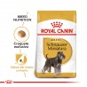 Royal Canin Alimento Seco para Perro Schnauzer Miniature Adult  3 kg