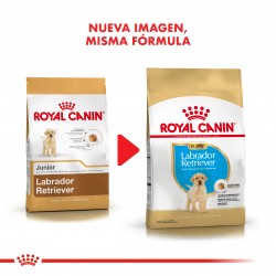 Royal Canin Labrador Retriever Junior x 1 kg