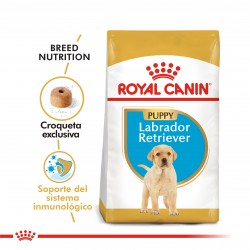 Royal Canin Labrador Retriever Junior x 1 kg