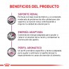 Royal Canin Renal Canine 6 Latas 200 Grs Cada Una