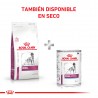 Royal Canin Renal Canine 6 Latas 200 Grs Cada Una