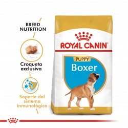 Royal Canin Boxer Junior x 1 kg