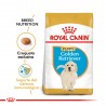 Royal Canin Golden Retriever Junior x 1 kg