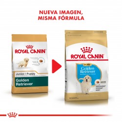 Royal Canin Golden Retriever Junior x 1 kg