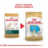 Royal Canin Golden Retriever Junior x 1 kg