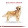 Royal Canin Golden Retriever Adult 12 kg