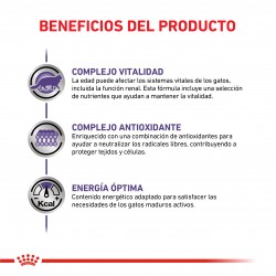 Royal Canin Alimento Seco para Gato Mature Consult Stage 1