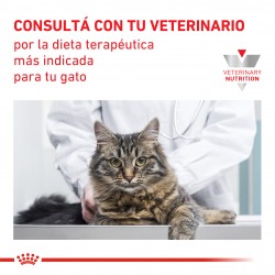 Royal Canin Alimento Seco para Gato Mature Consult Stage 1