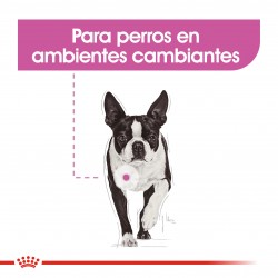 Royal Canin Alimento Seco para Perro  Relax care mini  Canine