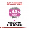 Royal Canin Alimento Seco para Perro  Relax care mini  Canine