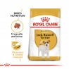 Royal Canin Alimento Seco para Jack Russell Adulto