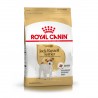 Royal Canin Alimento Seco para Jack Russell Adulto