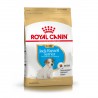 Royal Canin Alimento Seco para Jack Russell Puppy