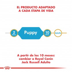 Royal Canin Alimento Seco para Jack Russell Puppy