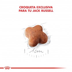 Royal Canin Alimento Seco para Jack Russell Puppy