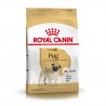 Royal Canin Alimento Seco para Pug Adulto