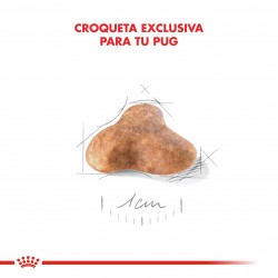 Royal Canin Alimento Seco para Pug Adulto