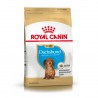 Royal Canin Alimento Seco para Dachshund