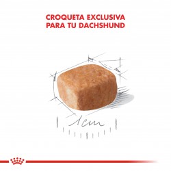 Royal Canin Alimento Seco para Dachshund