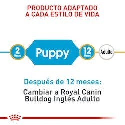 Royal Canin Alimento Seco para Perro Bulldog Puppy