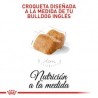 Royal Canin Alimento Seco para Perro Bulldog Puppy