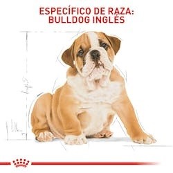 Royal Canin Alimento Seco para Perro Bulldog Puppy